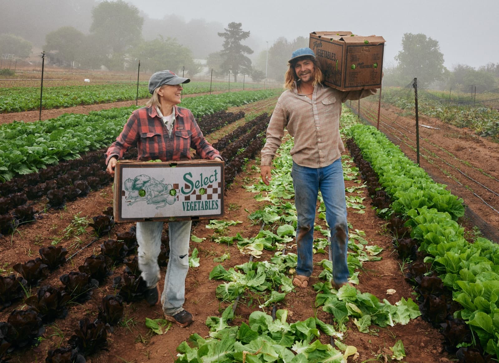Two farmers carrying produce boxes in the field