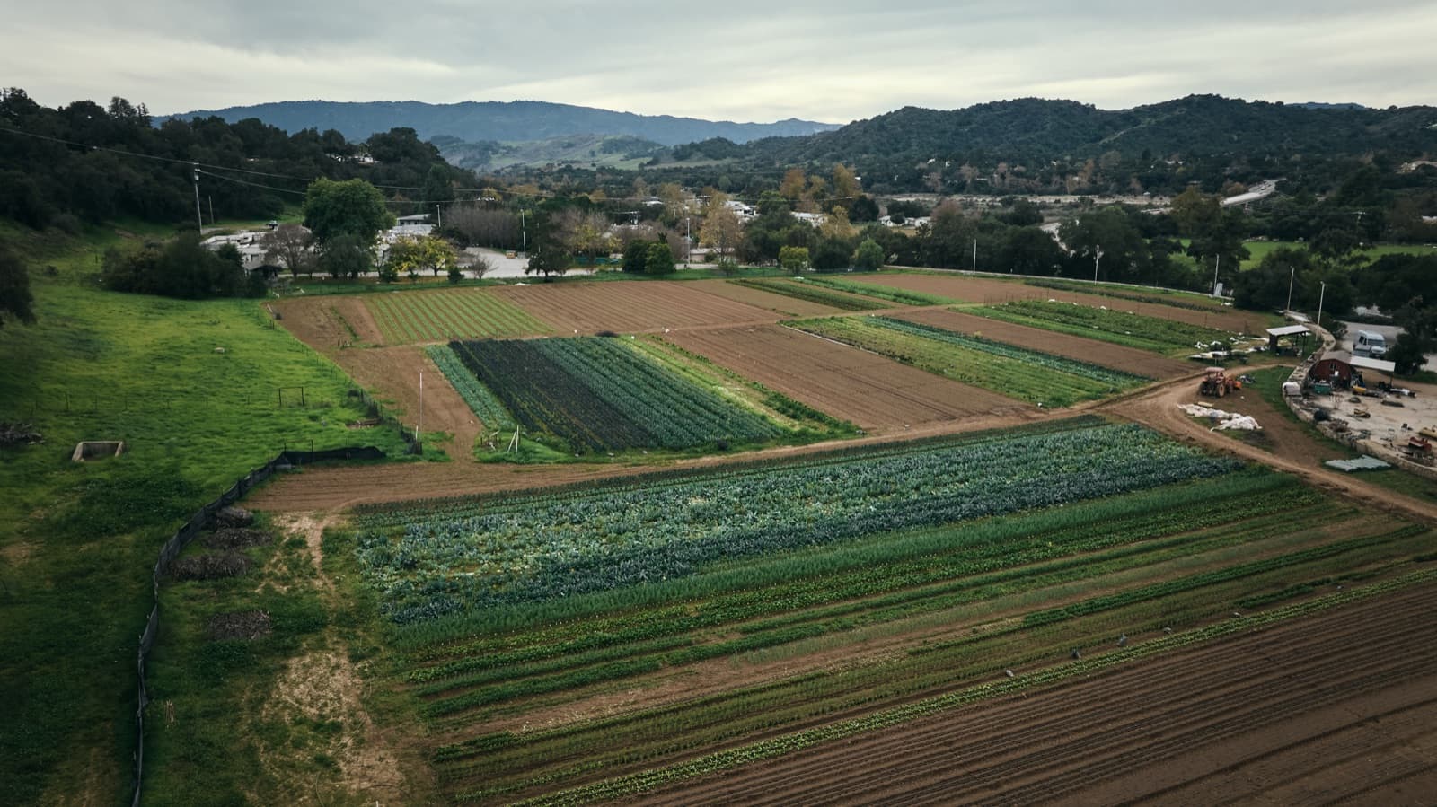 Aerial view of the 12-acre farm