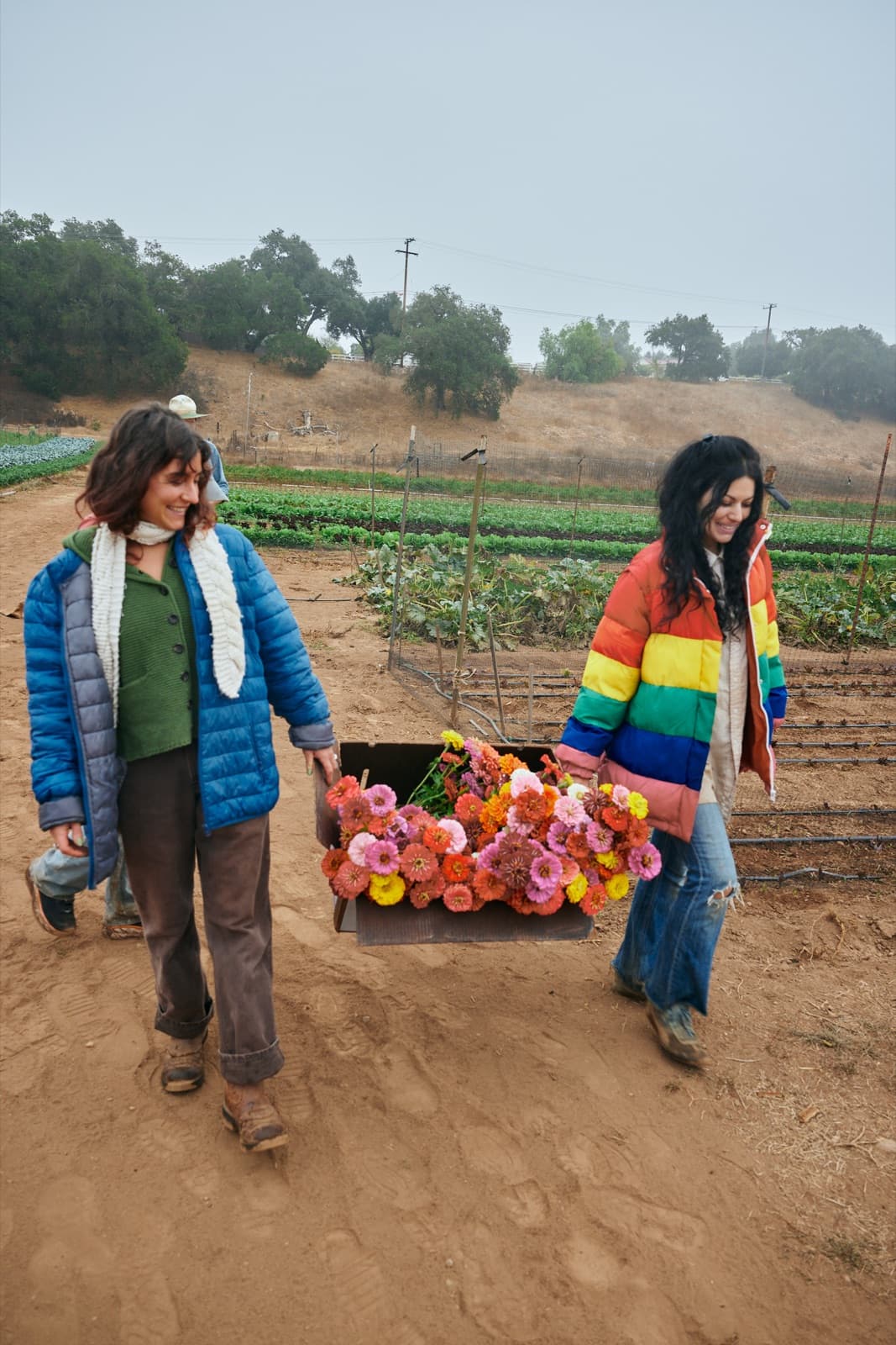 Two women carrying a box of zinnias on the farm