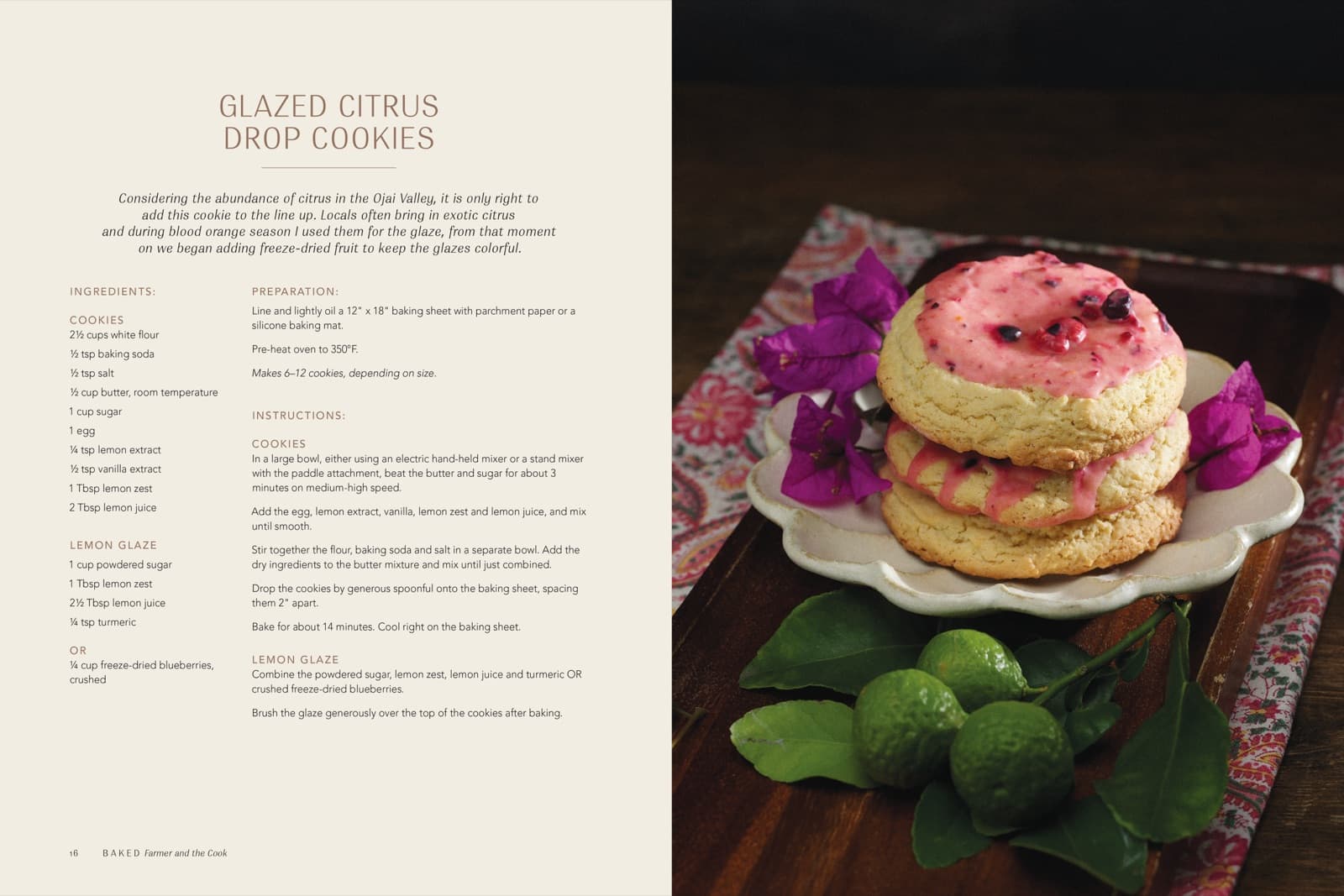 Baked cookbook interior spread 6