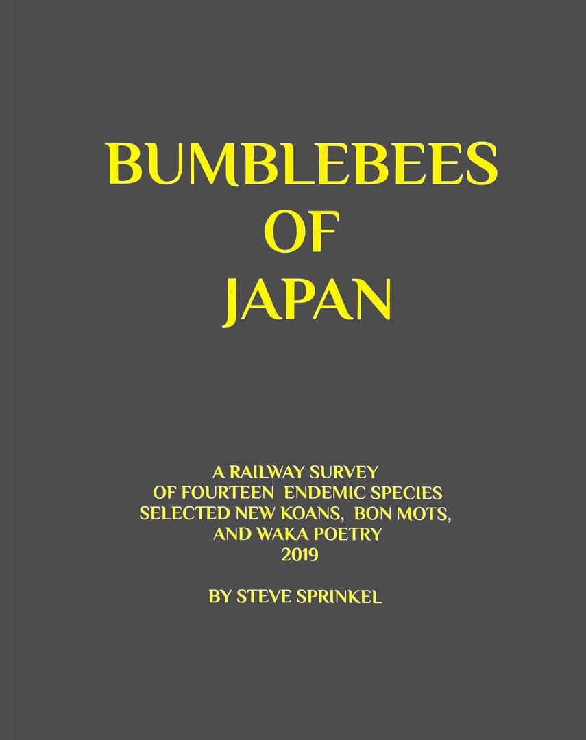 Bumblebees of Japan book cover
