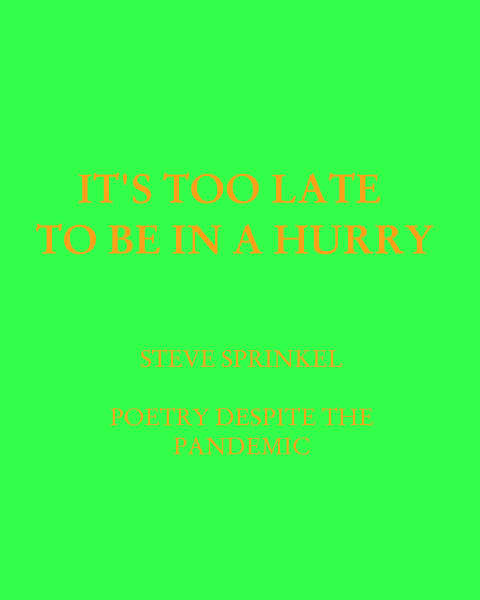 It's Too Late to Be in a Hurry cover