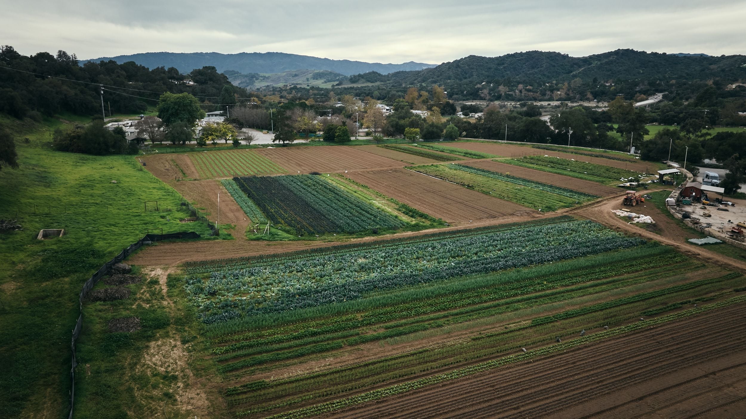 Our local organic farm in Ojai, CA